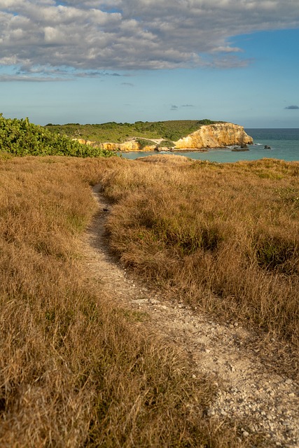 Costa, Acantilado, Rock, Naturaleza