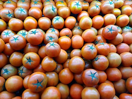 Free Tomato Food photo and picture