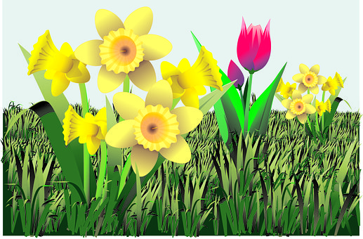Free Easter Flowers Spring photo and picture