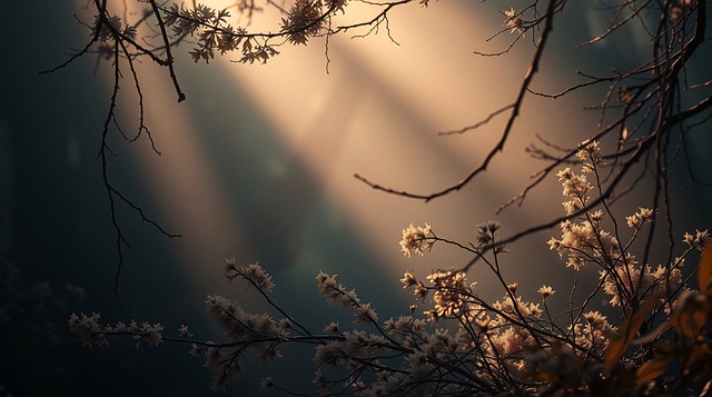Sol, Natureza, Céu, Nuvens, Pôr Do Sol
