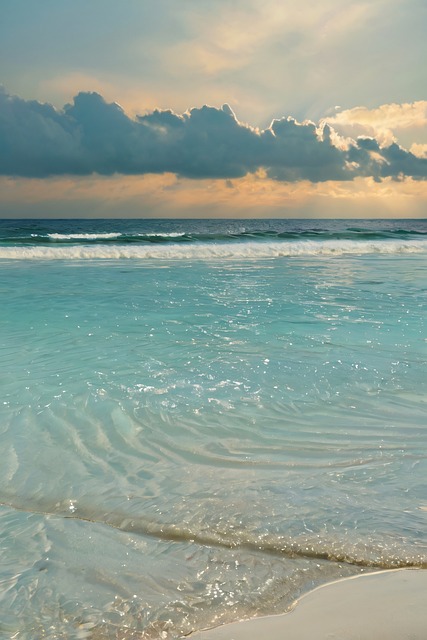 Mar, Natureza, Medusa, Praia, Oceano