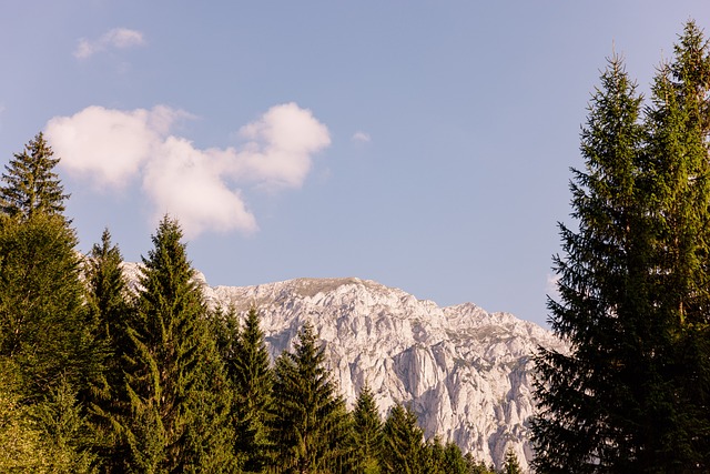 Free Mountain Nature photo and picture