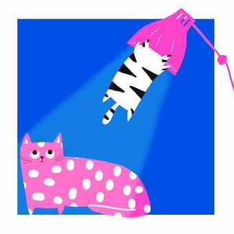 Katze, Kätzchen, Inländisch, Katzen