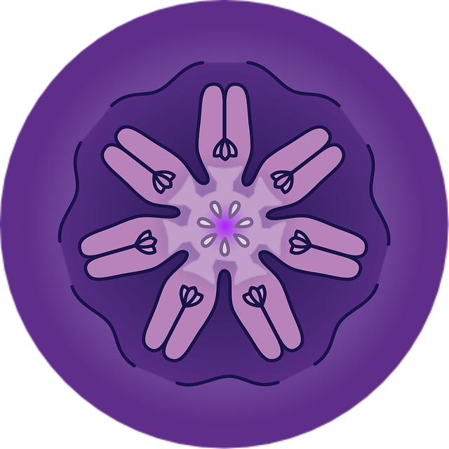Free steiner planetary seals sacred geometry esoteric symbols vector