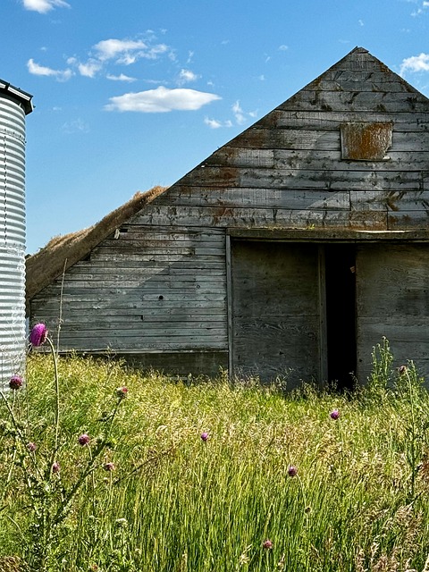 Free Barn Farm photo and picture