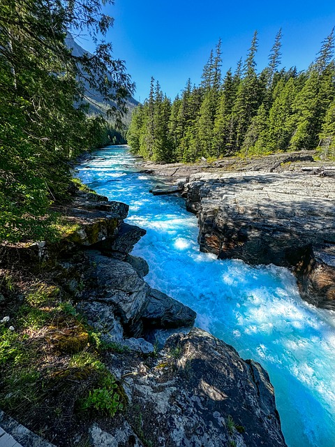 Free Glacier National Park River photo and picture