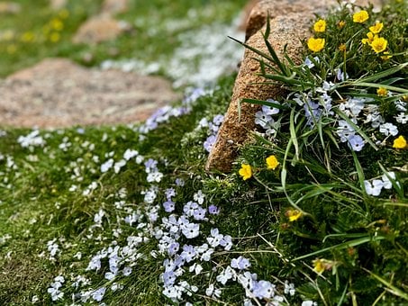 Free Mountains Nature photo and picture
