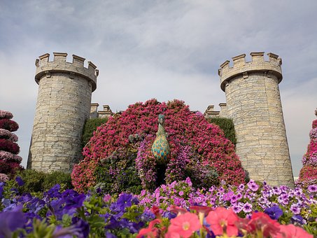 Free Garden Nature photo and picture