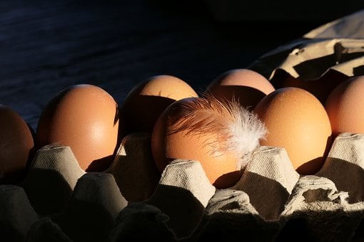 달걀, 부활절 계란, 부활절, 깃털, 축하