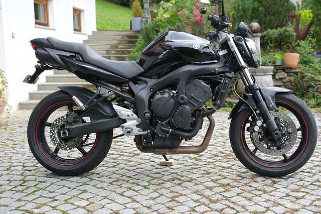 Yamaha, Motorcykel, Fz6, 600 Cc