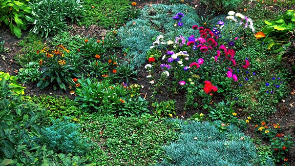 Free Garden Flowers photo and picture