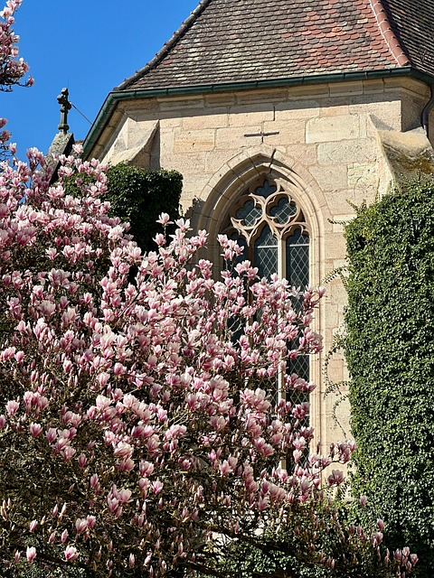 Free Magnolia Tree Monastery photo and picture