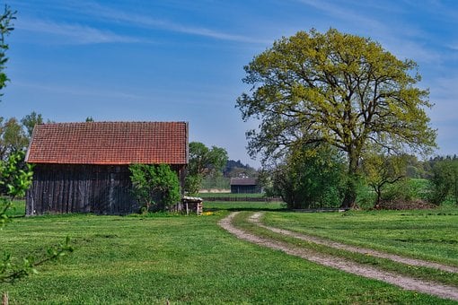 Весна, Природа, Сарай, Пейзаж