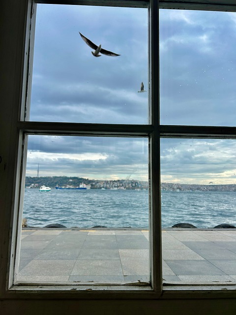 Free Port Besiktas photo and picture