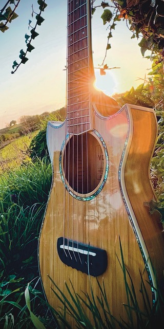Rejseguitar, Instrument, Natur, Sol, Træ