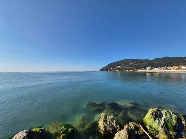Free Beach Sea photo and picture