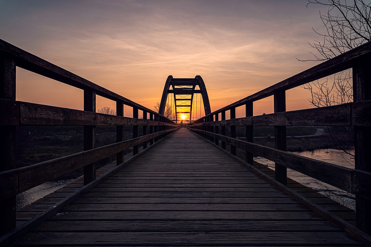 Download free HD stock image of Nature Bridge Free Nature Bridge photo and picture