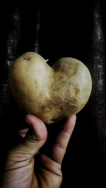 Free Heart Love photo and picture
