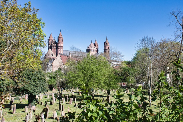 Free Dom Church photo and picture