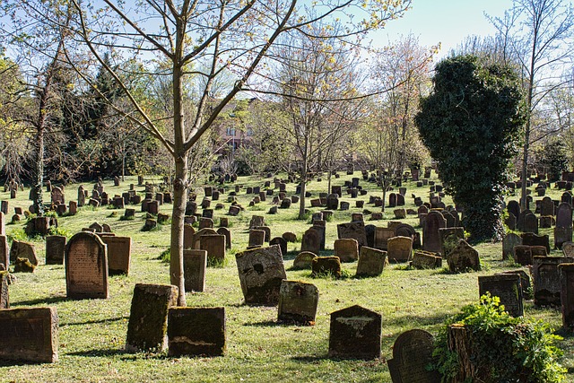 Free Graveyard Jew Cemetery photo and picture