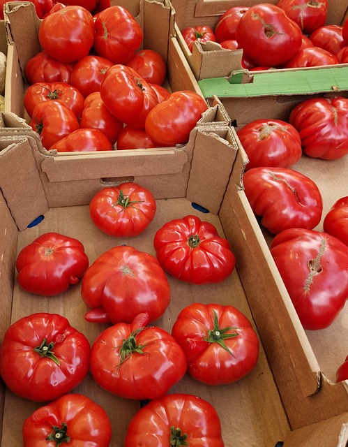 Free Harvest Vegetables photo and picture