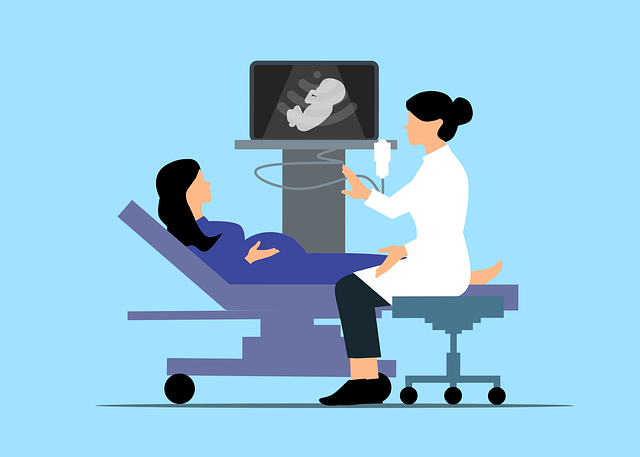 Free ultrasound baby pregnant vector
