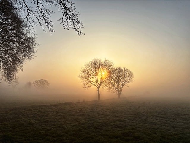 Schemering, Morgen, Landschap