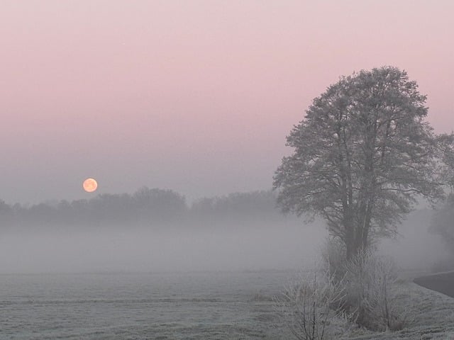 Zonsopkomst, Landschap, Zon