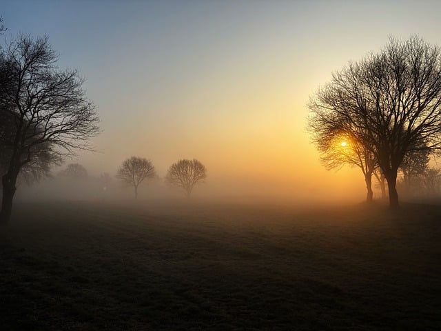 Zonsopkomst, Landschap, Hemel