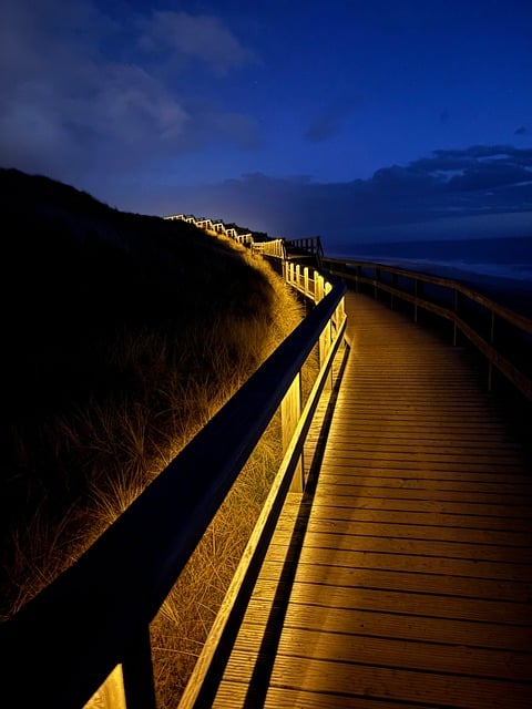 Strand, Zee, Kust, Noordzee, Natuur