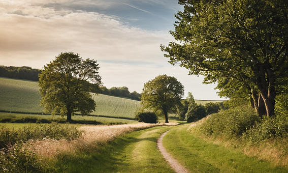 Free Landscape Nature illustration and picture