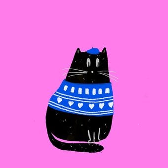 Katze, Kätzchen, Niedlich, Rosa