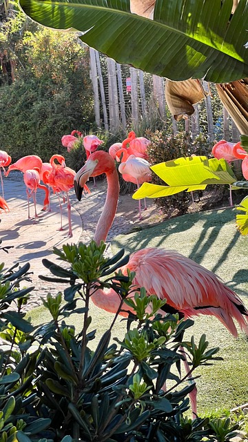 Free Bird Nature photo and picture