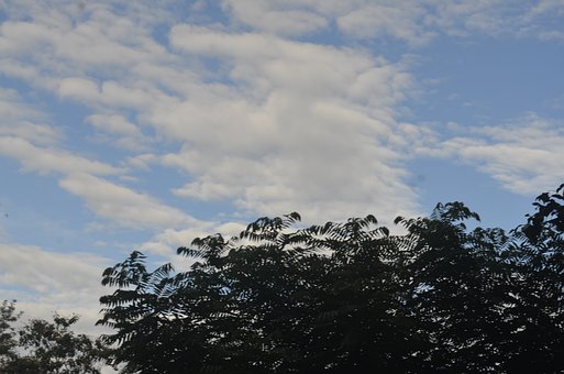 Free Sky Clouds photo and picture