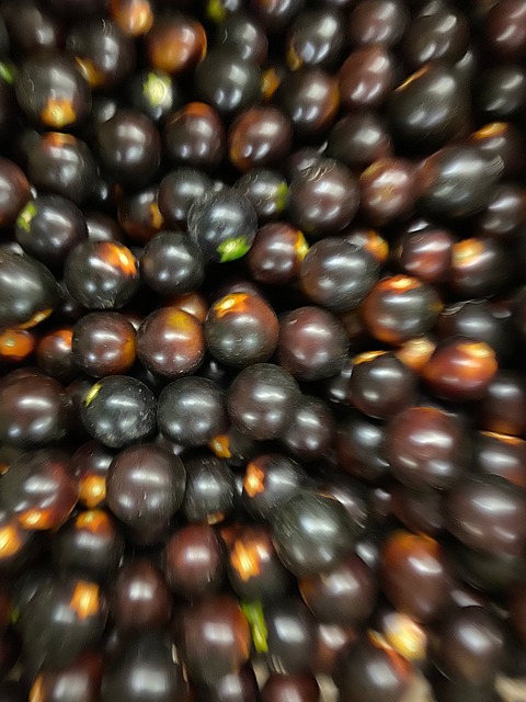 Free Tomatoes Tomato photo and picture