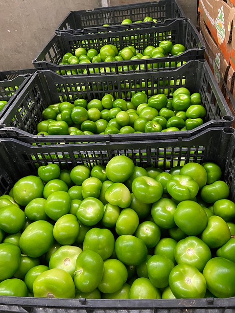 Free Vegetables Green photo and picture