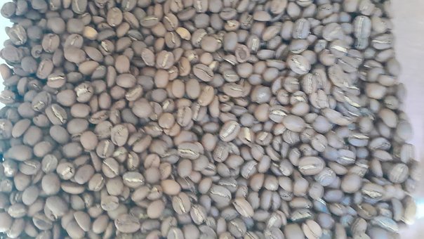 Café, Arábica, Feijão, Grão De Café