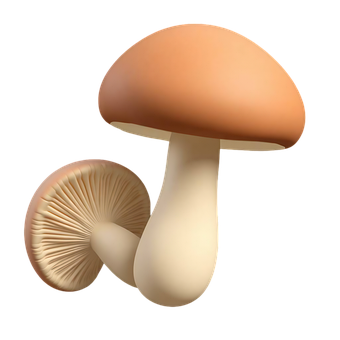 Free Mushroom Nature illustration and picture