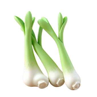 Free Scallion Food illustration and picture