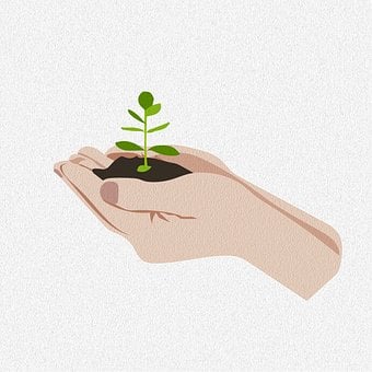 Download free HD stock image of Grow Plants Free grow plants drawing illustration