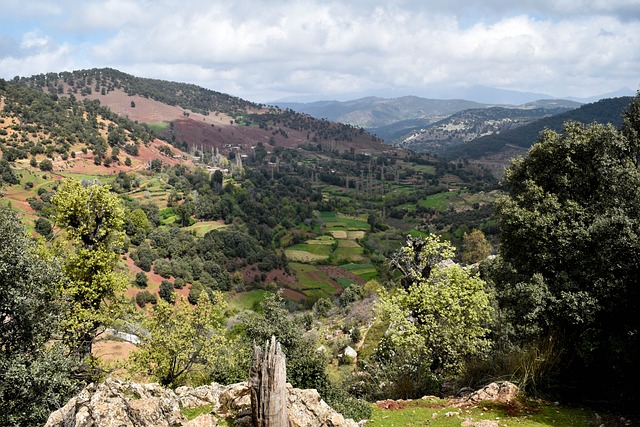 Free Landscape Montagne photo and picture