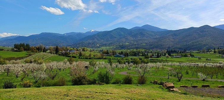 Oregon, Pară, Flori, Munţi, Verde, Vale