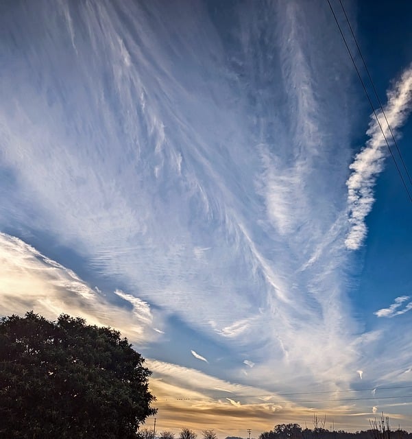 Free Clouds Cirrus photo and picture