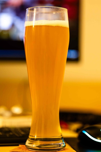 Free Beer Drink photo and picture