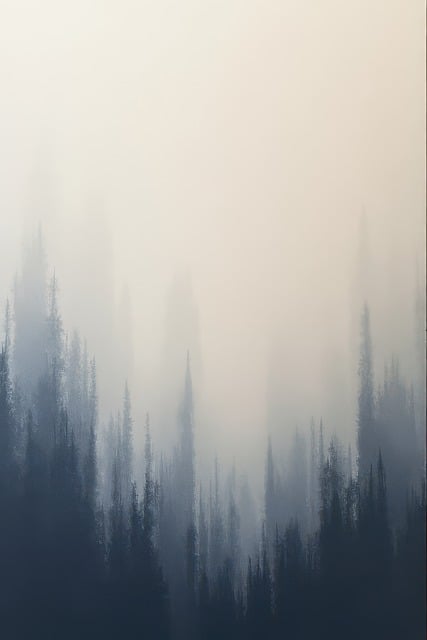 Ai Gegenereerd, Pijnboom, Nevelig, Mist