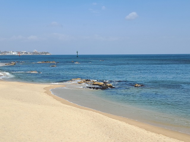 Free Beach Spring photo and picture