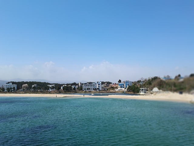 Free Beach Spring Sea photo and picture