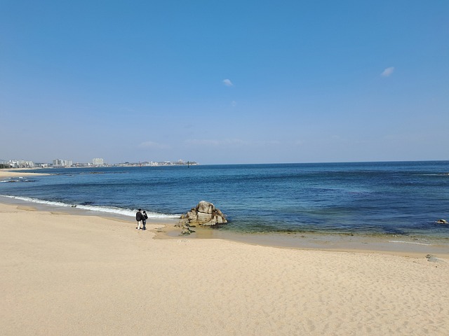 Free Beach Lover photo and picture