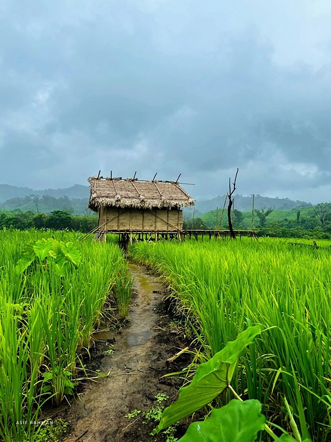 Free Mountain House Nature photo and picture