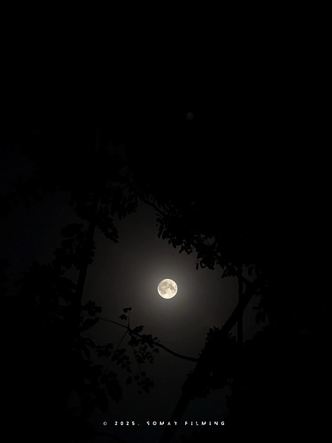 Free Moon Moonlight photo and picture